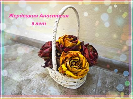 04 Жердецкая Настя